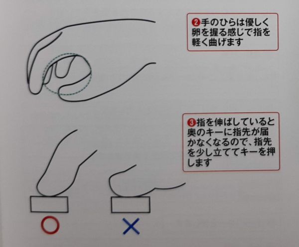 タッチタイピングの指の形