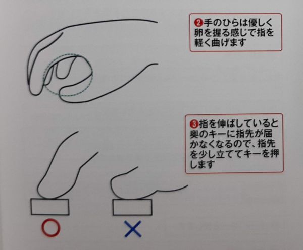 世界一やさしいタイピング 手の形