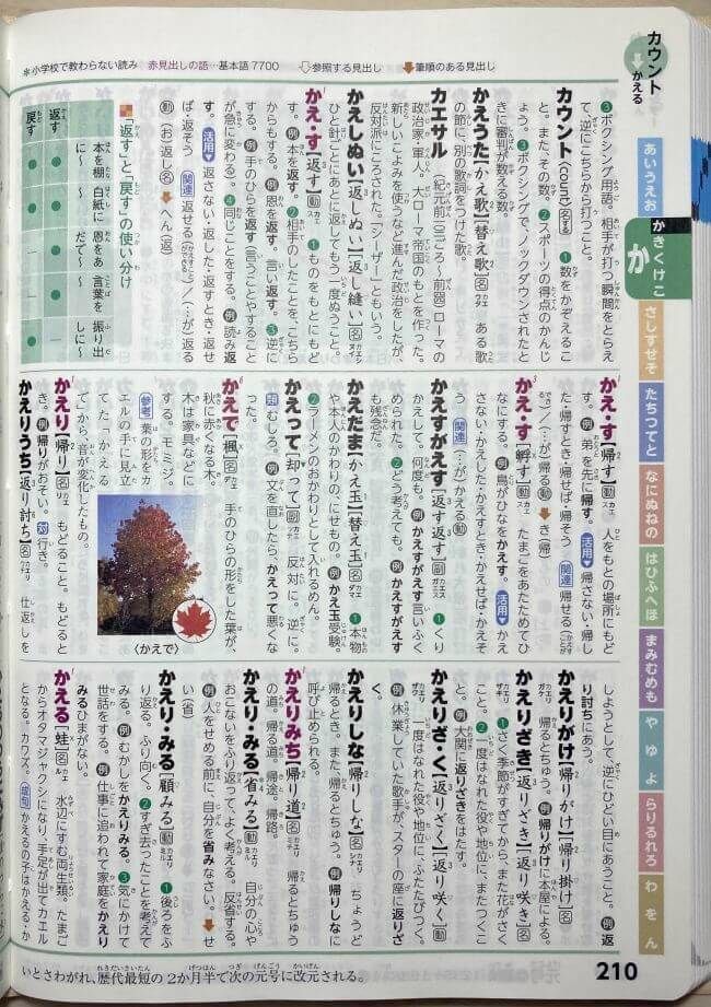 例解学習国語辞典の紙面
