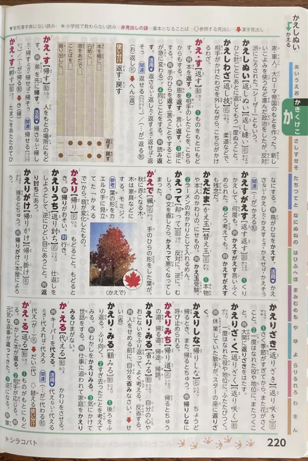 例解学習国語辞典の紙面220ページ