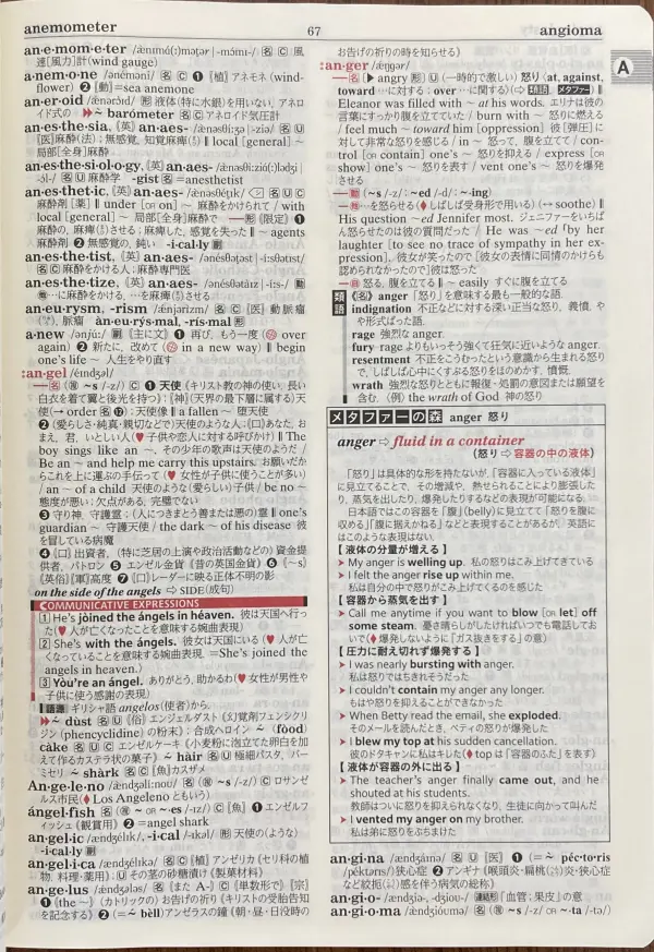オーレックス英和辞典の紙面